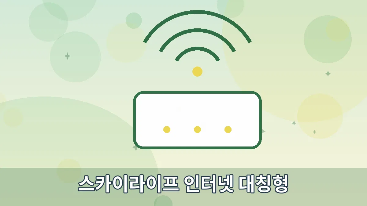스카이라이프 인터넷 대칭형 안내 이미지 2